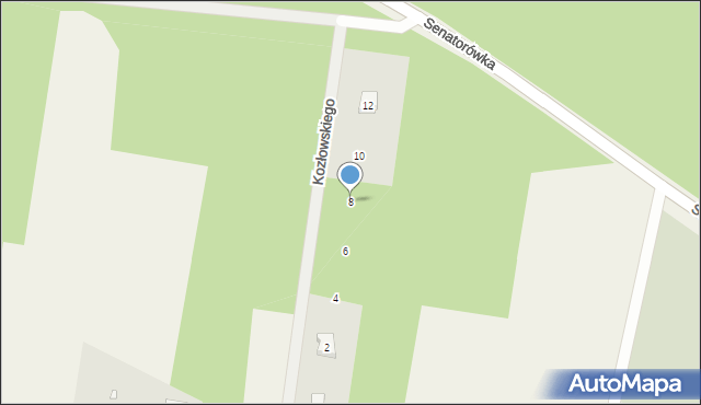 Puszcza Mariańska, Kozłowskiego Stanisława, 8, mapa Puszcza Mariańska