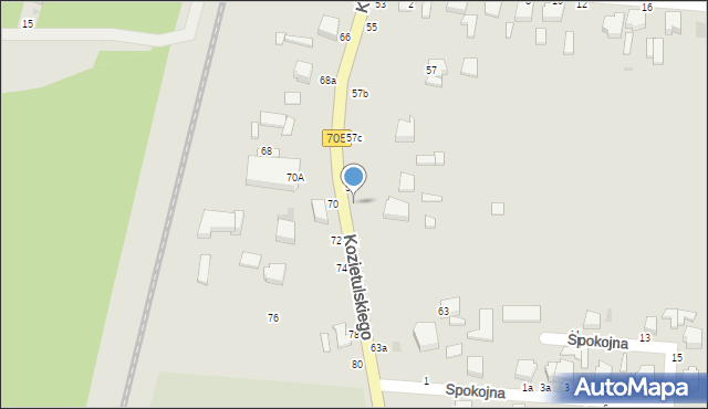 Skierniewice, Kozietulskiego Jana Leona, płk., 61, mapa Skierniewic