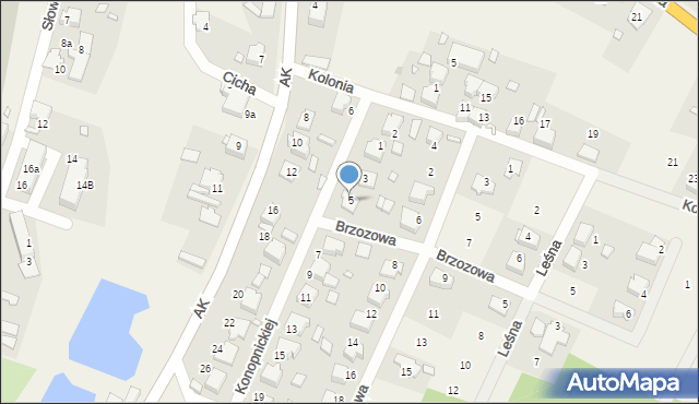 Skorogoszcz, Konopnickiej Marii, 5, mapa Skorogoszcz