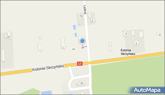 Skrzyńsko, Kolonia Skrzyńsko, 1a, mapa Skrzyńsko