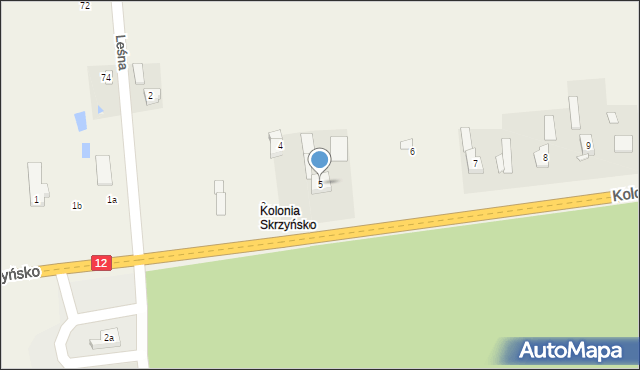 Skrzyńsko, Kolonia Skrzyńsko, 5, mapa Skrzyńsko