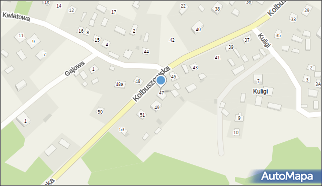 Stany, Kolbuszowska, 47, mapa Stany