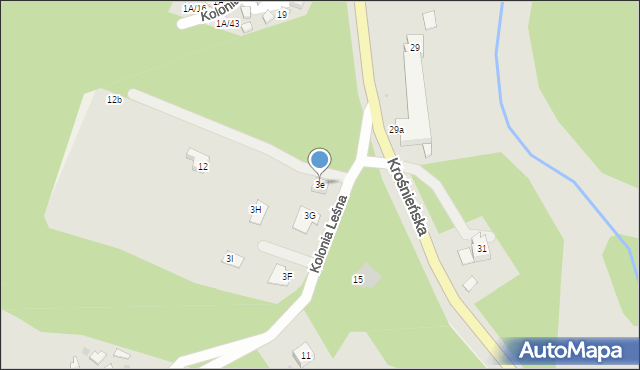 Torzym, Kolonia Leśna, 3e, mapa Torzym