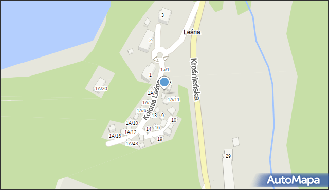 Torzym, Kolonia Leśna, 5a, mapa Torzym