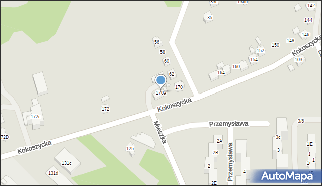 Wodzisław Śląski, Kokoszycka, 170a, mapa Wodzisławia Śląskiego