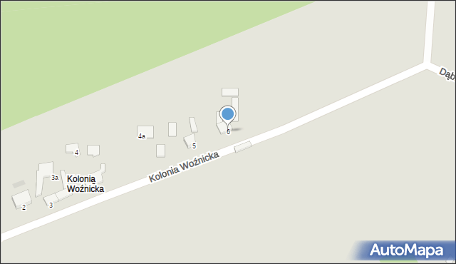 Woźniki, Kolonia Woźnicka, 6, mapa Woźniki
