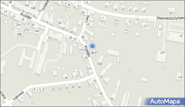 Wschowa, Kostki, ks., 50, mapa Wschowa