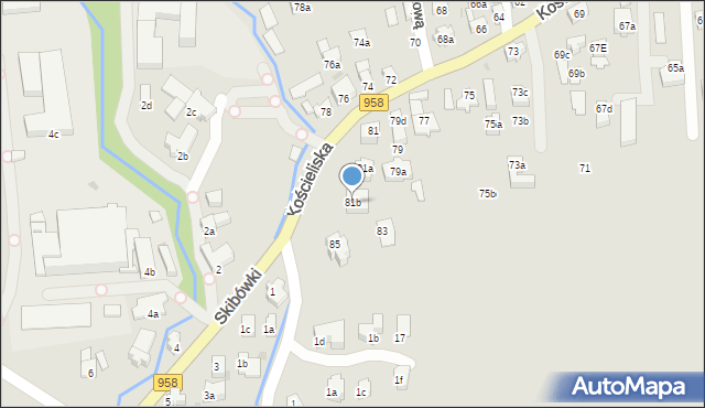 Zakopane, Kościeliska, 81b, mapa Zakopanego