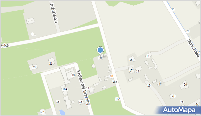 Królewskie Brzeziny, Królewskie Brzeziny, 20, mapa Królewskie Brzeziny