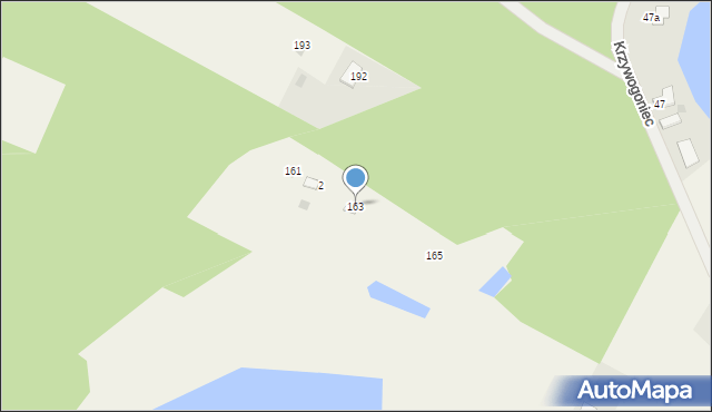 Krzywogoniec, Krzywogoniec, 163, mapa Krzywogoniec