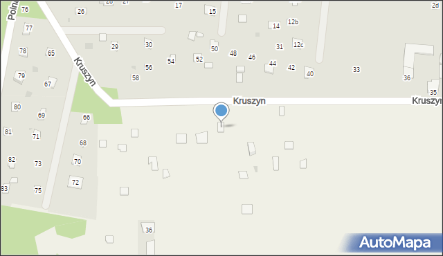 Magnuszew, Kruszyn, 49, mapa Magnuszew