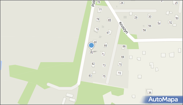 Magnuszew, Kruszyn, 81, mapa Magnuszew