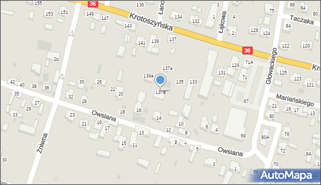 Ostrów Wielkopolski, Krotoszyńska, 137B, mapa Ostrów Wielkopolski