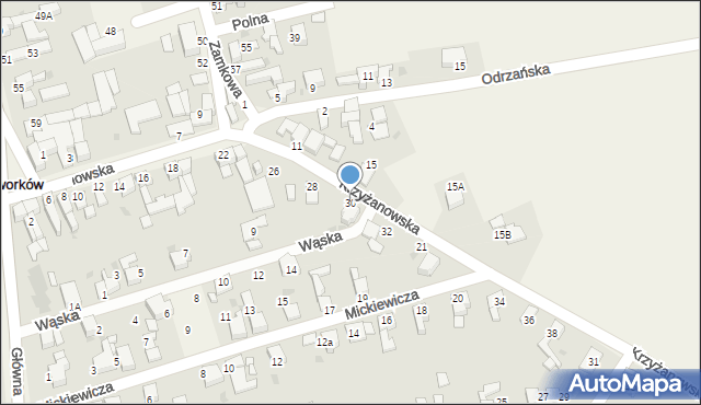 Tworków, Krzyżanowska, 30, mapa Tworków