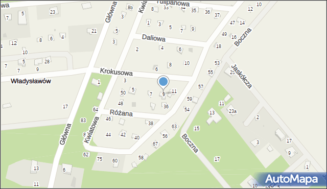 Władysławów, Krokusowa, 9, mapa Władysławów