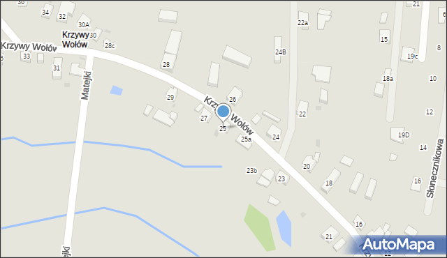 Wołów, Krzywy Wołów, 25, mapa Wołów