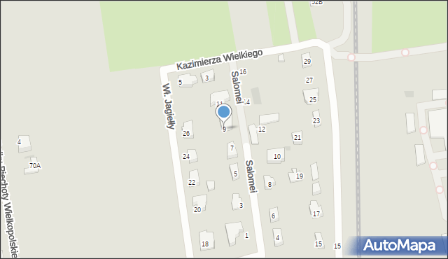 Łęczyca, Księżnej Salomei, 9, mapa Łęczyca