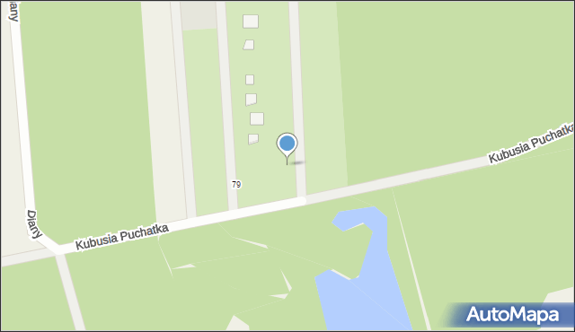 Borowiec, Kubusia Puchatka, 79a, mapa Borowiec