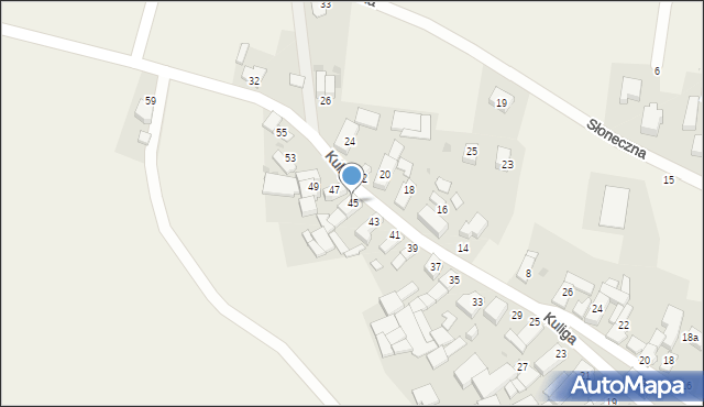 Pawłowiczki, Kuliga, ks., 45, mapa Pawłowiczki