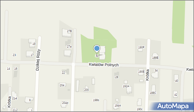 Borzęcin Mały, Kwiatów Polnych, 31, mapa Borzęcin Mały