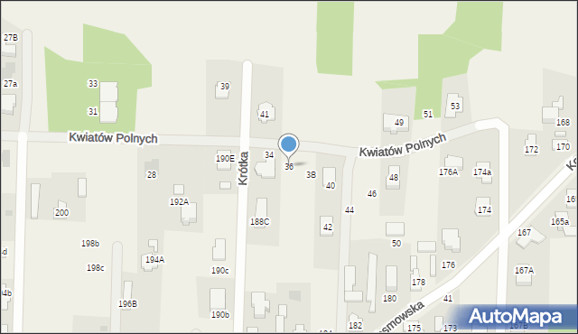 Borzęcin Mały, Kwiatów Polnych, 36, mapa Borzęcin Mały