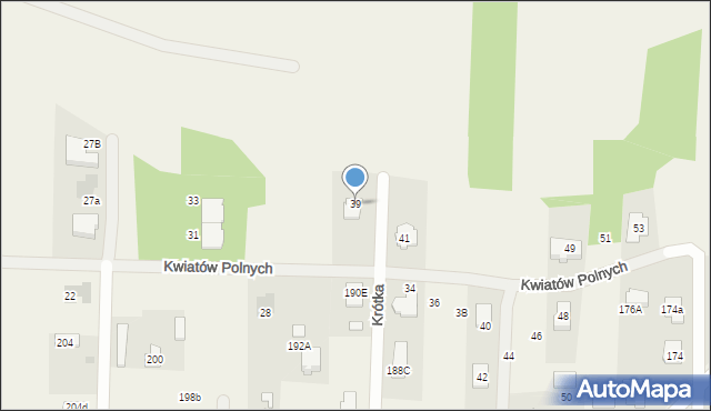 Borzęcin Mały, Kwiatów Polnych, 39, mapa Borzęcin Mały