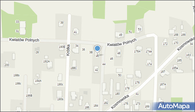 Borzęcin Mały, Kwiatów Polnych, 40, mapa Borzęcin Mały