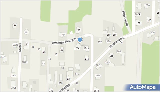 Borzęcin Mały, Kwiatów Polnych, 54, mapa Borzęcin Mały