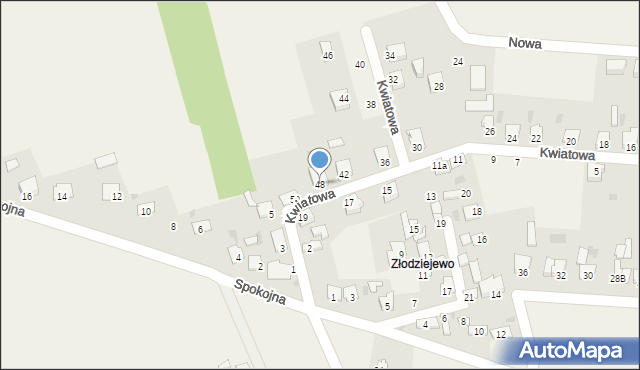 Czerniewice, Kwiatowa, 48, mapa Czerniewice