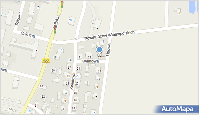 Doruchów, Kwiatowa, 25, mapa Doruchów