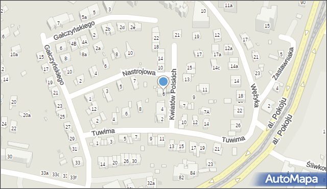 Kraków, Kwiatów Polskich, 6, mapa Krakowa