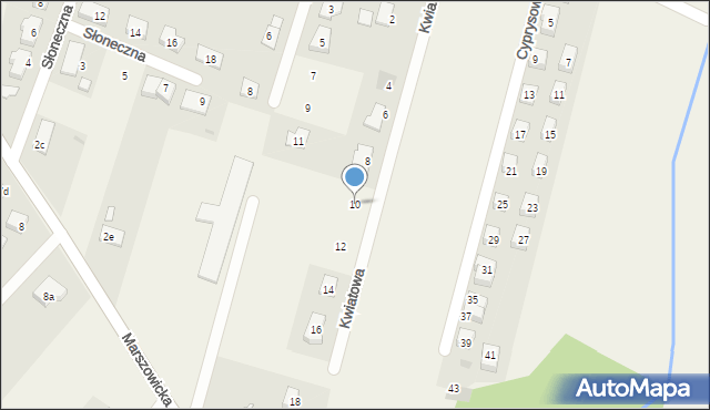 Wilkszyn, Kwiatowa, 10, mapa Wilkszyn