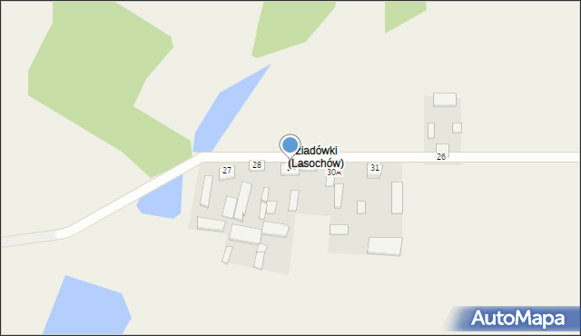 Lasochów, Lasochów, 29, mapa Lasochów