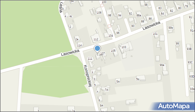 Nowe Chechło, Lasowicka, 109, mapa Nowe Chechło