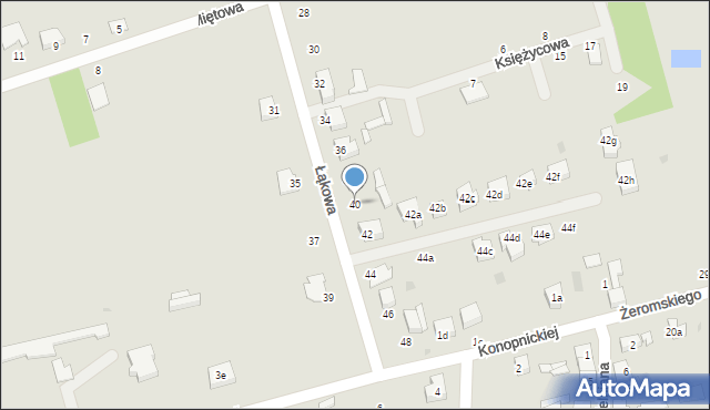 Ozorków, Łąkowa, 40, mapa Ozorków