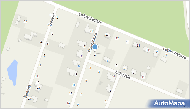 Trzcielin, Łabędzia, 1, mapa Trzcielin