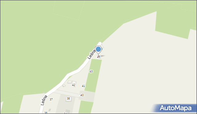 Borowiany, Leśna, 45, mapa Borowiany