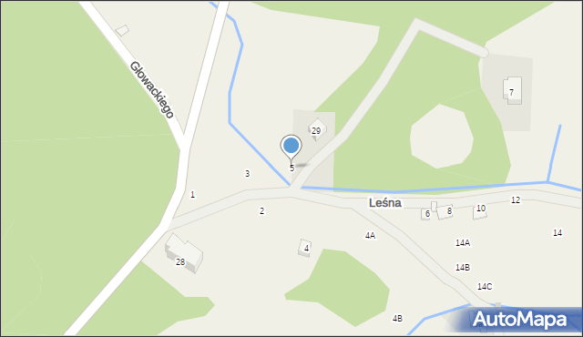 Borowice, Leśna, 5, mapa Borowice