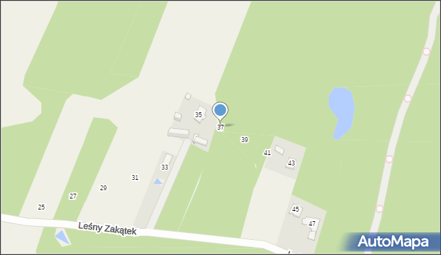 Boryszew, Leśny Zakątek, 37, mapa Boryszew