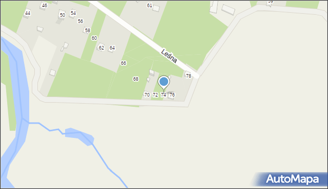 Borzychy, Leśna, 74, mapa Borzychy