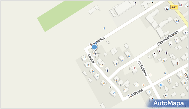 Borzykowo, Leśna, 13, mapa Borzykowo