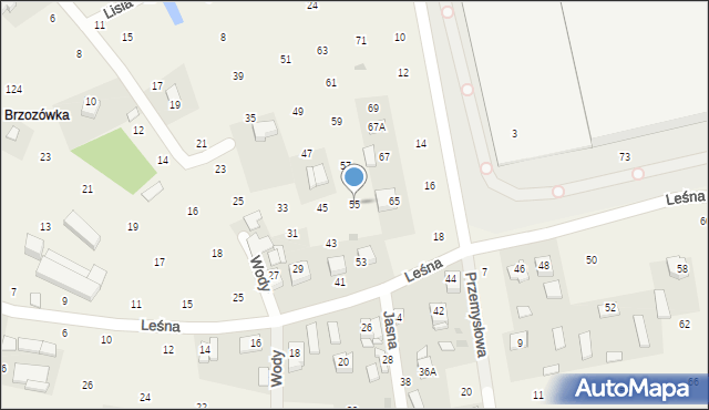 Brzozówka, Leśna, 55, mapa Brzozówka