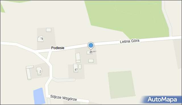 Buszkowy, Leśna Góra, 65, mapa Buszkowy