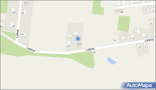 Dłutów, Leśna, 9, mapa Dłutów