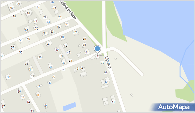 Dominikowo, Leśna Polana, 1, mapa Dominikowo