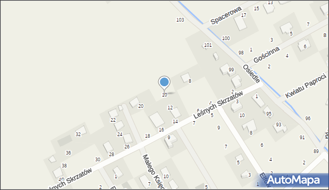 Dopiewiec, Leśnych Skrzatów, 10, mapa Dopiewiec