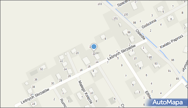 Dopiewiec, Leśnych Skrzatów, 12, mapa Dopiewiec