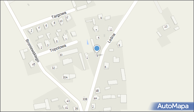 Dzierzgowo, Leśna, 3, mapa Dzierzgowo