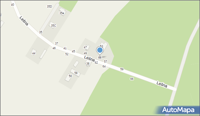 Grębiszew, Leśna, 55, mapa Grębiszew