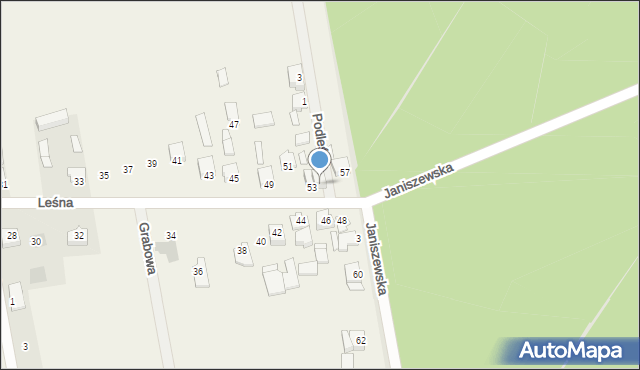 Janiszew, Leśna, 55, mapa Janiszew